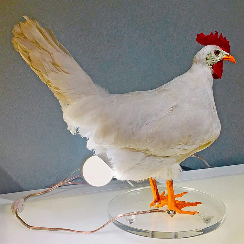 Lampe Oeuf de Poule