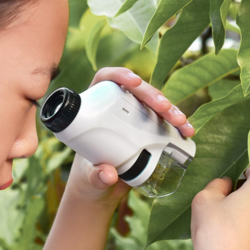 Microscope portable éclairé par LED